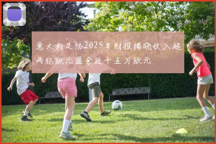 意大利足协2025年财报揭晓收入超两亿欧元盈余近十五万欧元