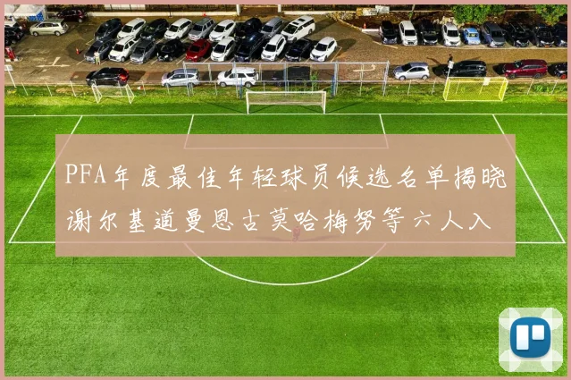 PFA年度最佳年轻球员候选名单揭晓谢尔基道曼恩古莫哈梅努等六人入围